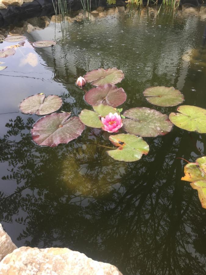 Lelle-Kert Apartman 01 Balatonlelle Bagian luar foto