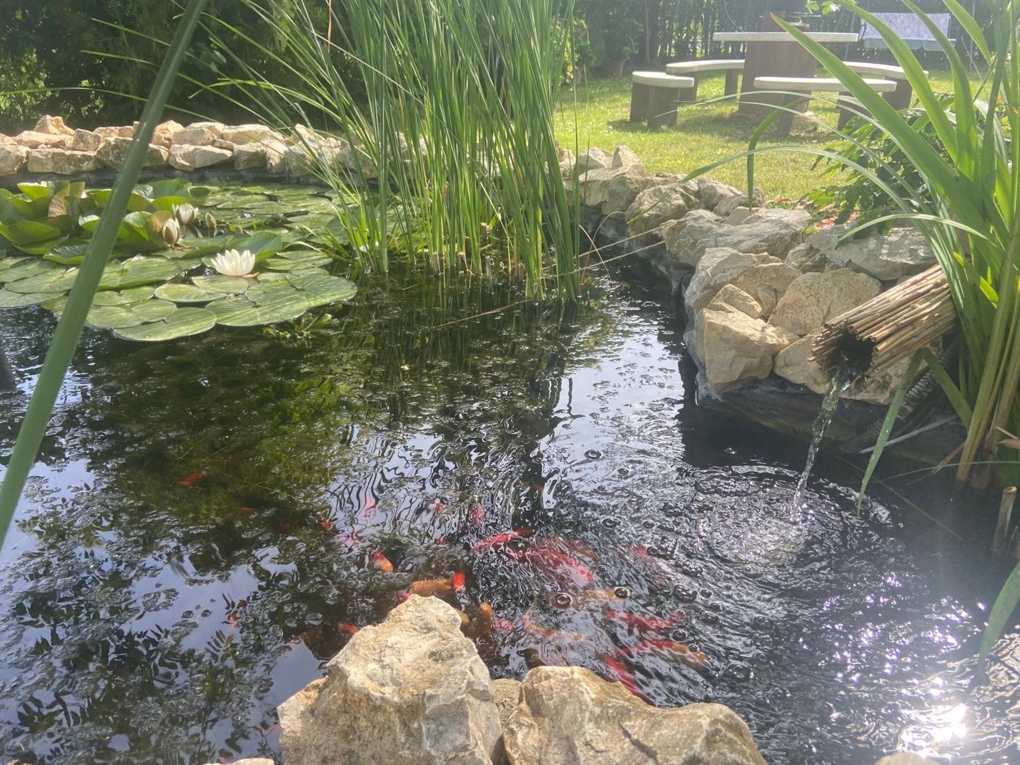 Lelle-Kert Apartman 01 Balatonlelle Bagian luar foto